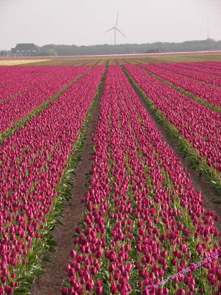 &copy; www.wagner-hirsch.de Verkauf 407